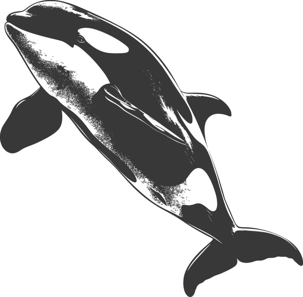 AI generated Silhouette the orca or killer whale fish animal black color only vector