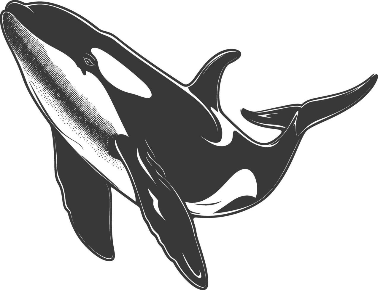 ai generado silueta el orca o asesino ballena pescado animal negro color solamente vector