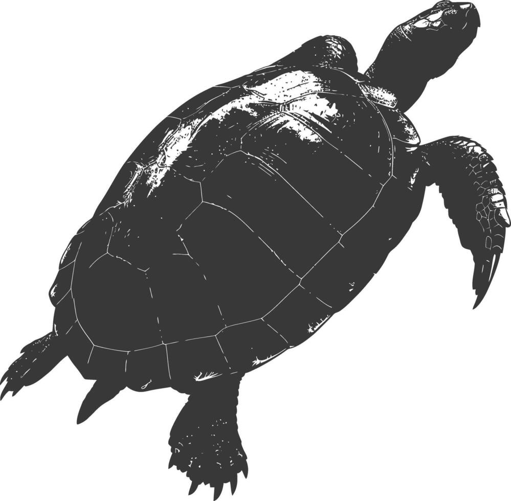 AI generated Silhouette Turtle Animal black color only full body vector