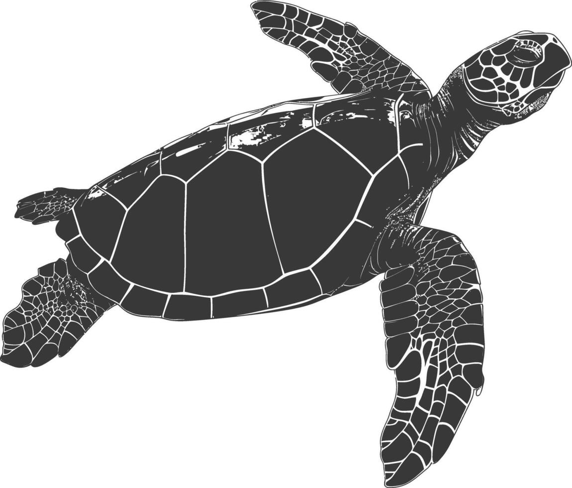 AI generated Silhouette Turtle Animal black color only full body vector