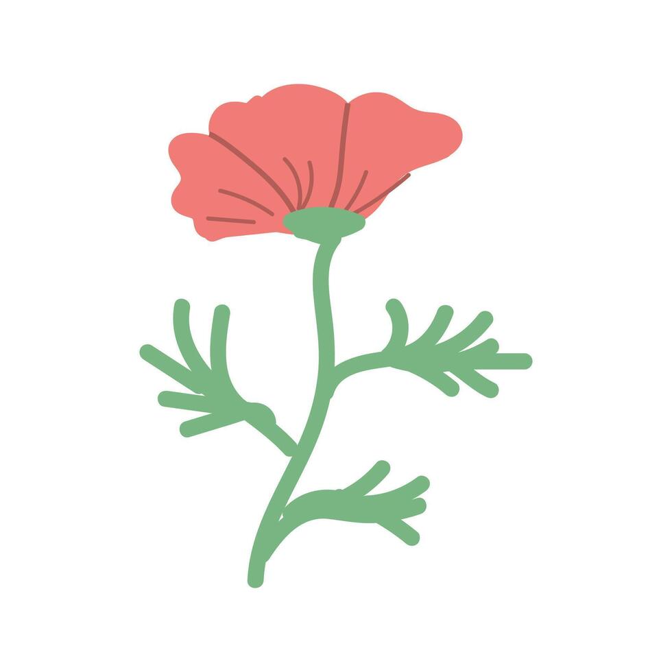 mano dibujado primavera flor rojo amapola con hojas vector ilustración. lata usado para decoración bandera, saludo tarjeta, invitación decoración.