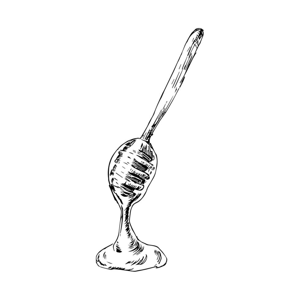 Hand drawn sketch of honey and wooden spoon vector