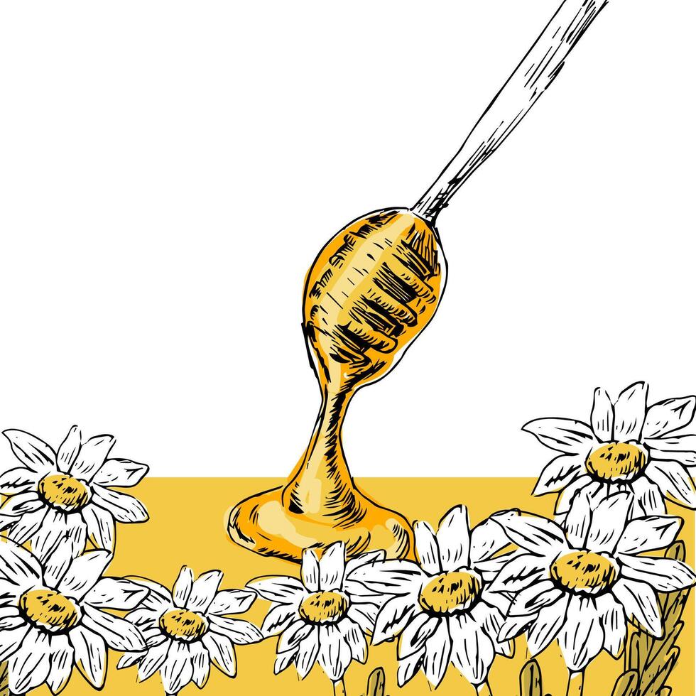 Honey and flowers hand drawn sketch in color vector