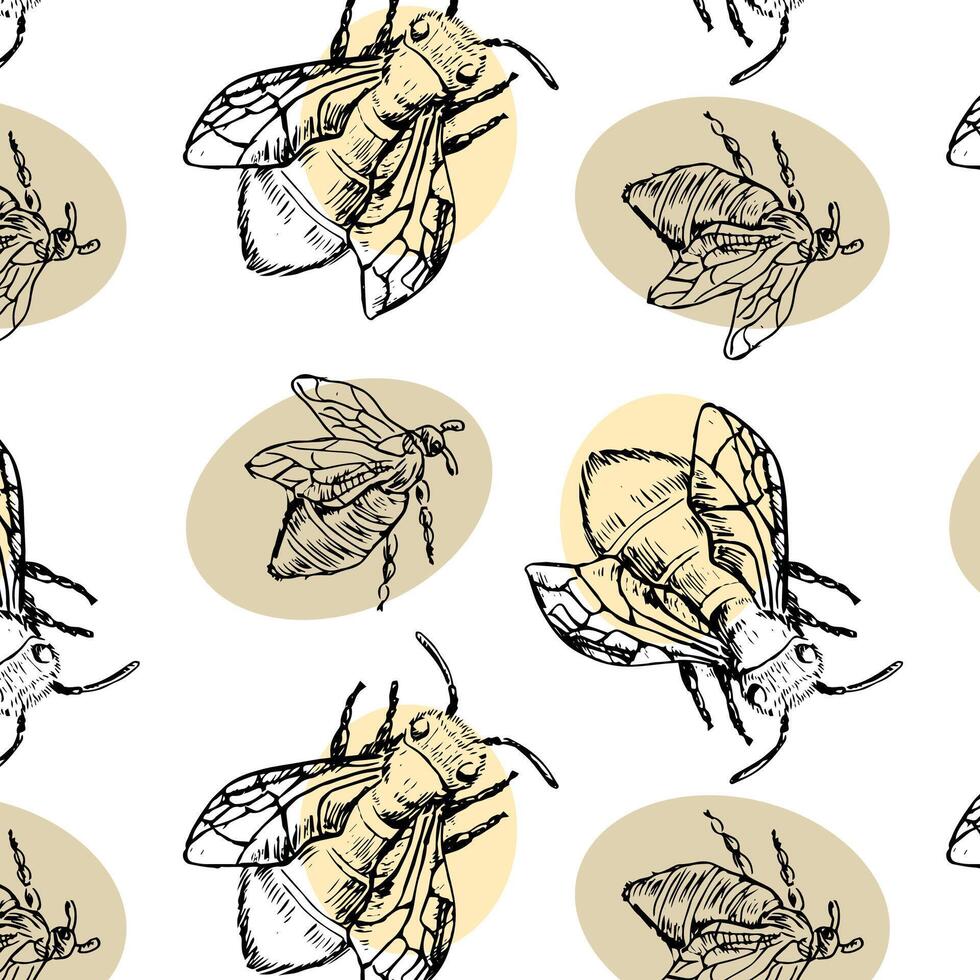 Honey bee hand drawn sketch pattern retro on white vector