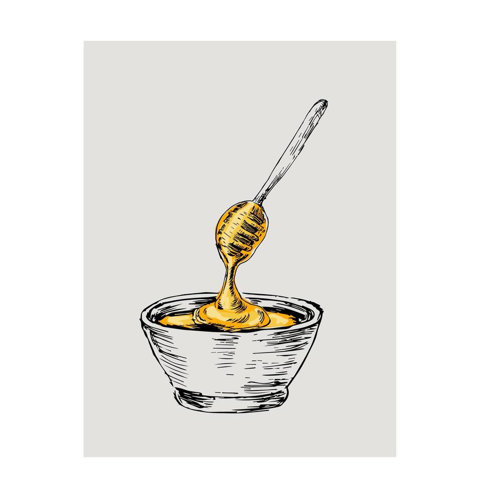 Honey in pot hand drawn sketch in color vector