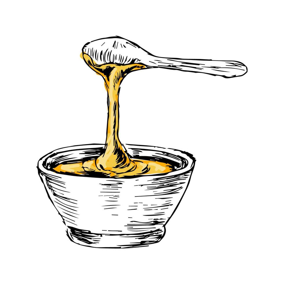 Honey in spoon hand drawn sketch in color vector