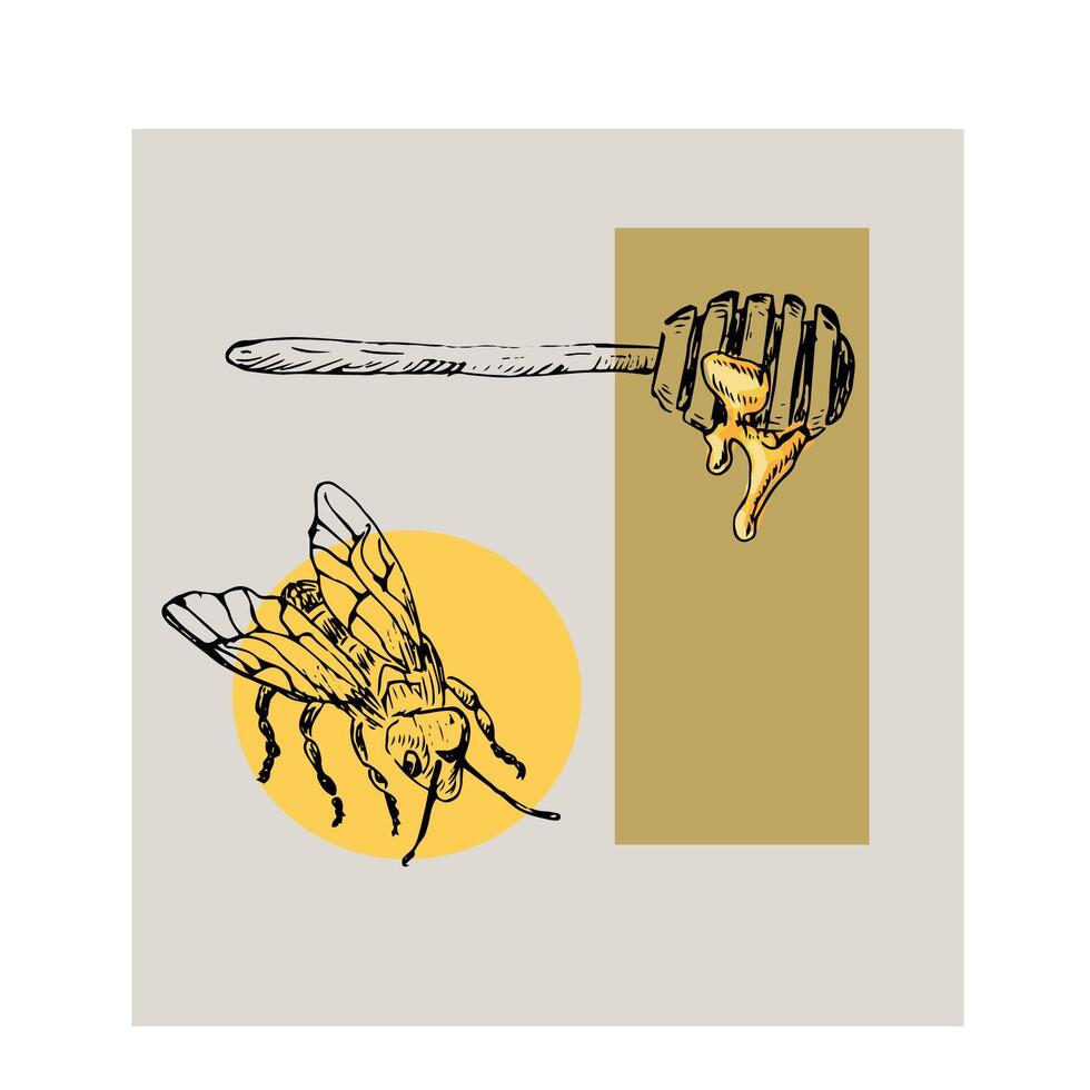 Honey bee and honey sketch abstract poster vector