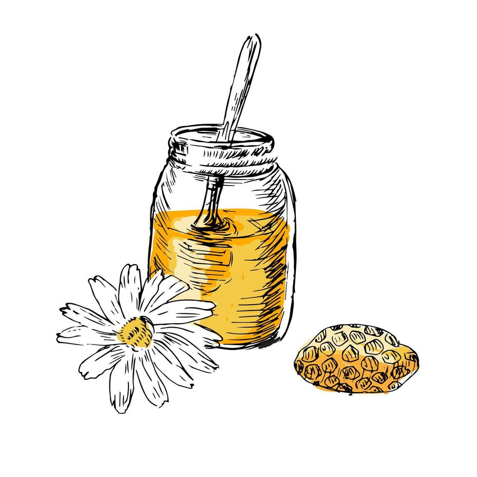Honey elements hand drawn sketch in color vector