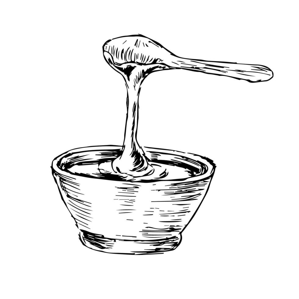 Hand drawn sketch of honey spoon and pot vector