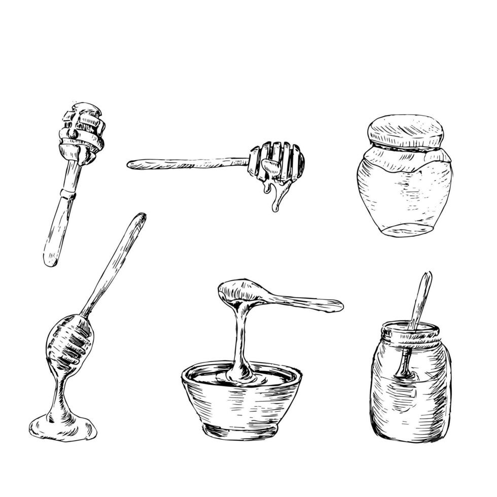Set of Honey products hand drawn sketch in color vector