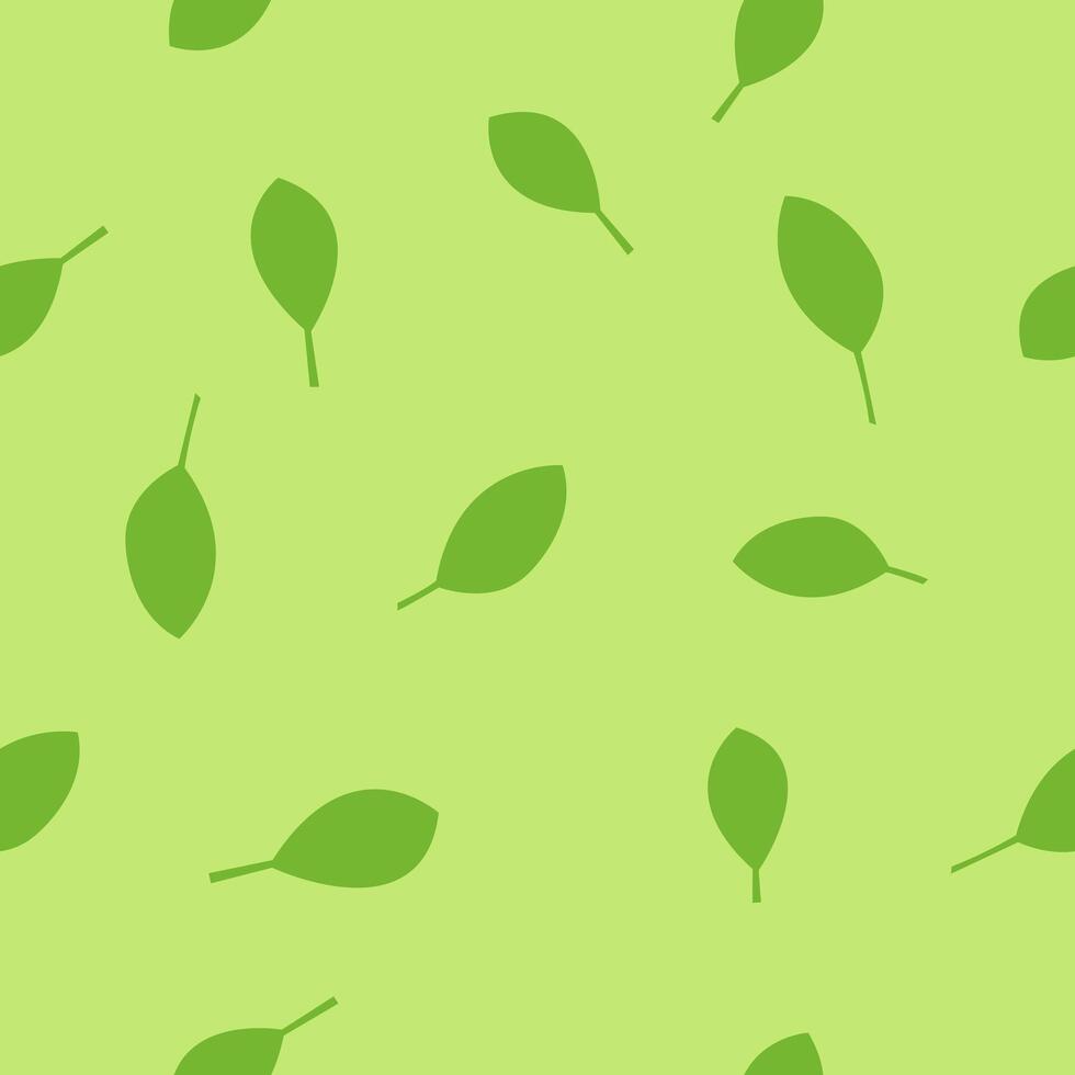 Oregano herb seamless pattern. Green background. vector
