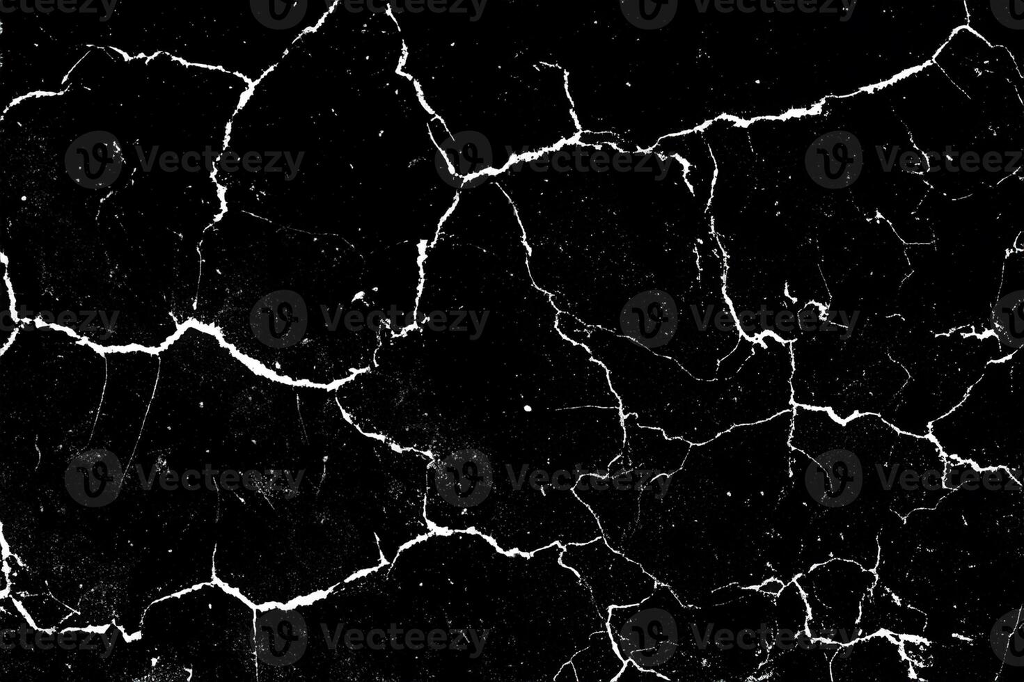 negro y blanco agrietado suelo textura foto