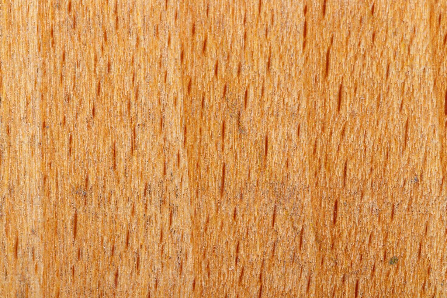 macro texture of yellow wood photo