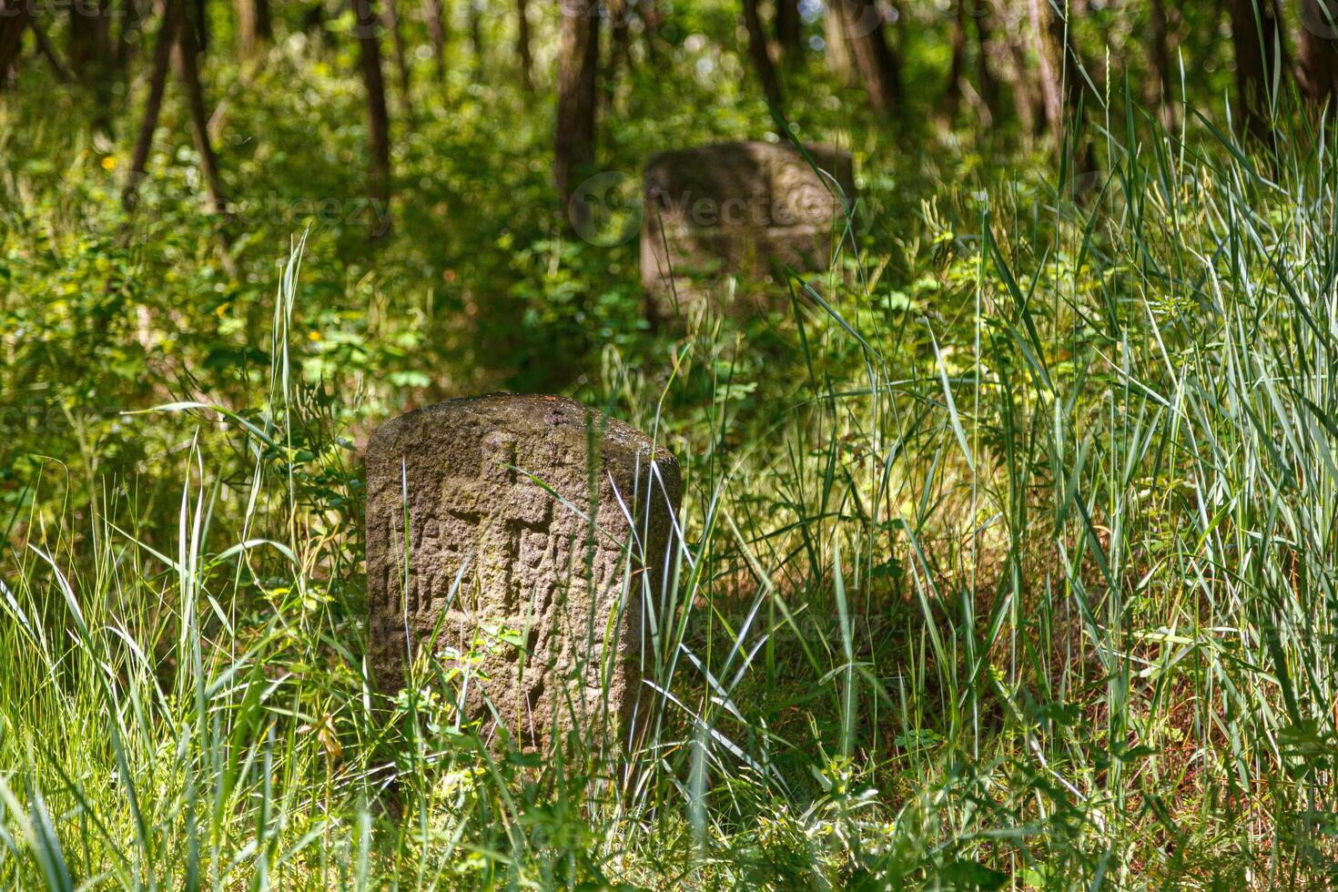 Ancient stone crosses of the Cossack cemetery in Trakhtemirov photo