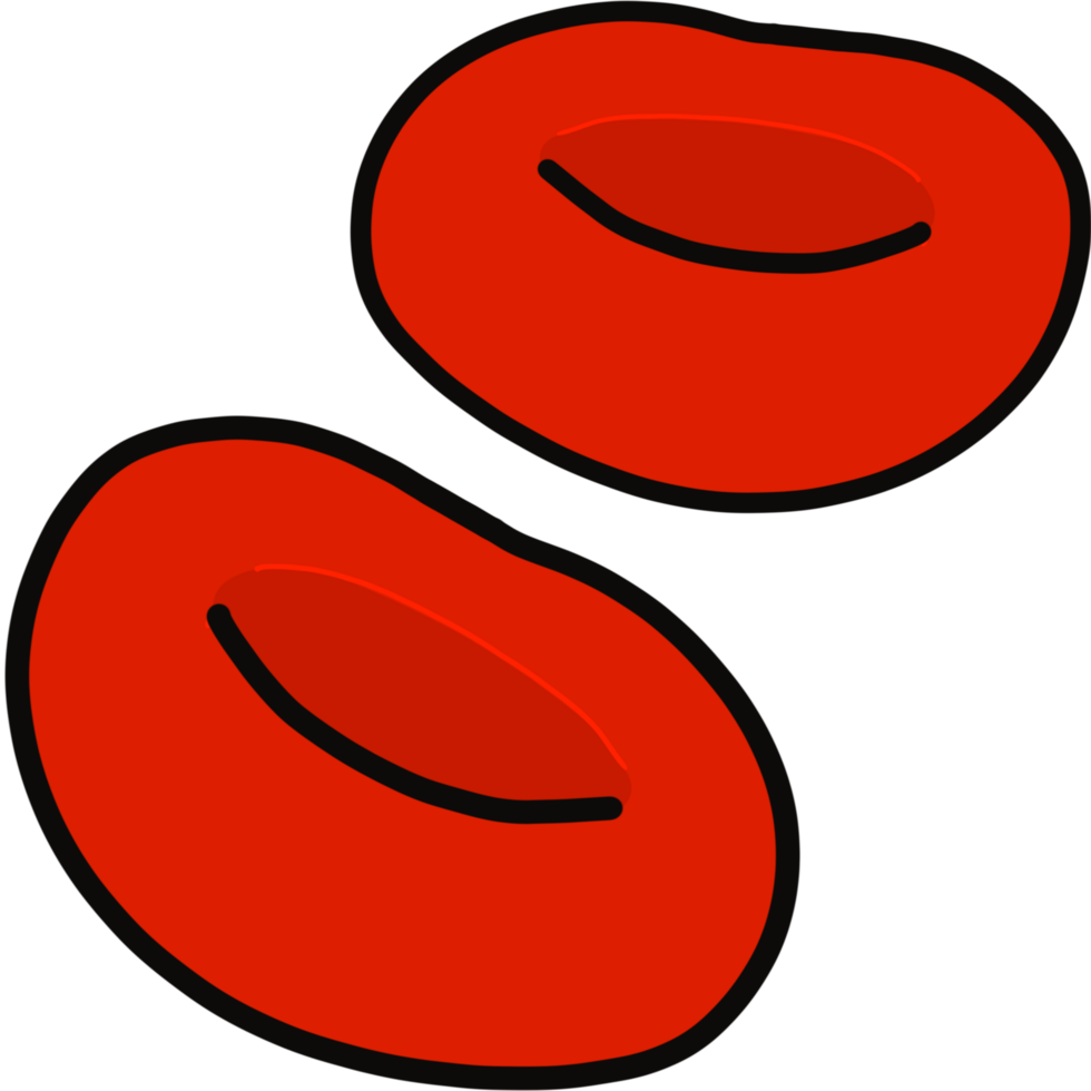Red Blood Cells cartoon illustration png