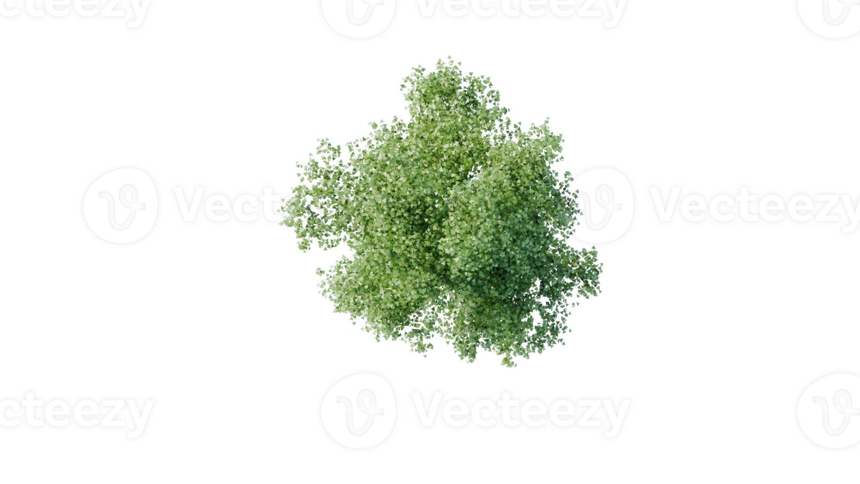 Beautiful side plan of trees all trees short trees and shrubs png