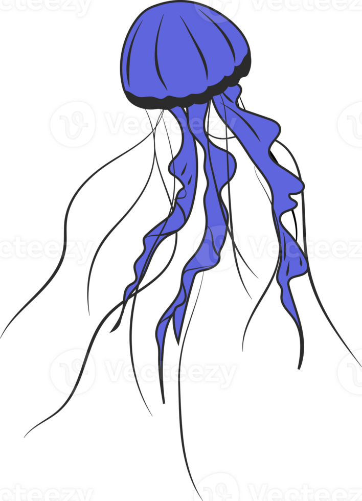 Colorful jellyfish for decoration design png