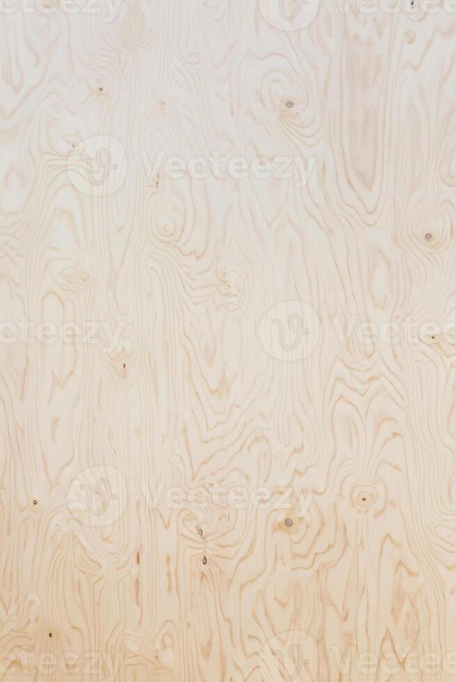 Veneer Plywood Texture photo