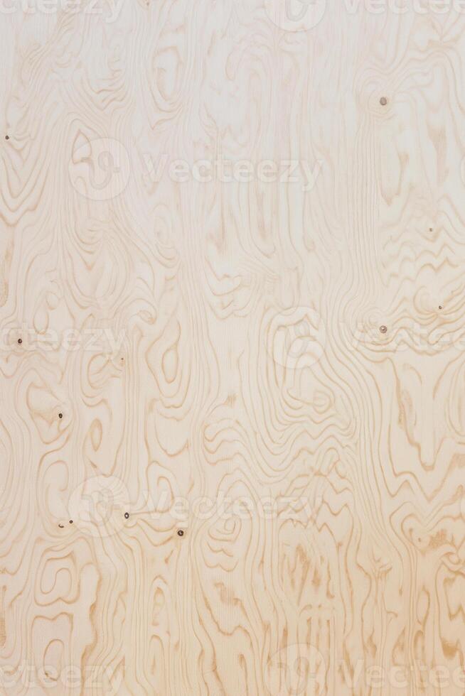 Veneer Plywood Texture photo