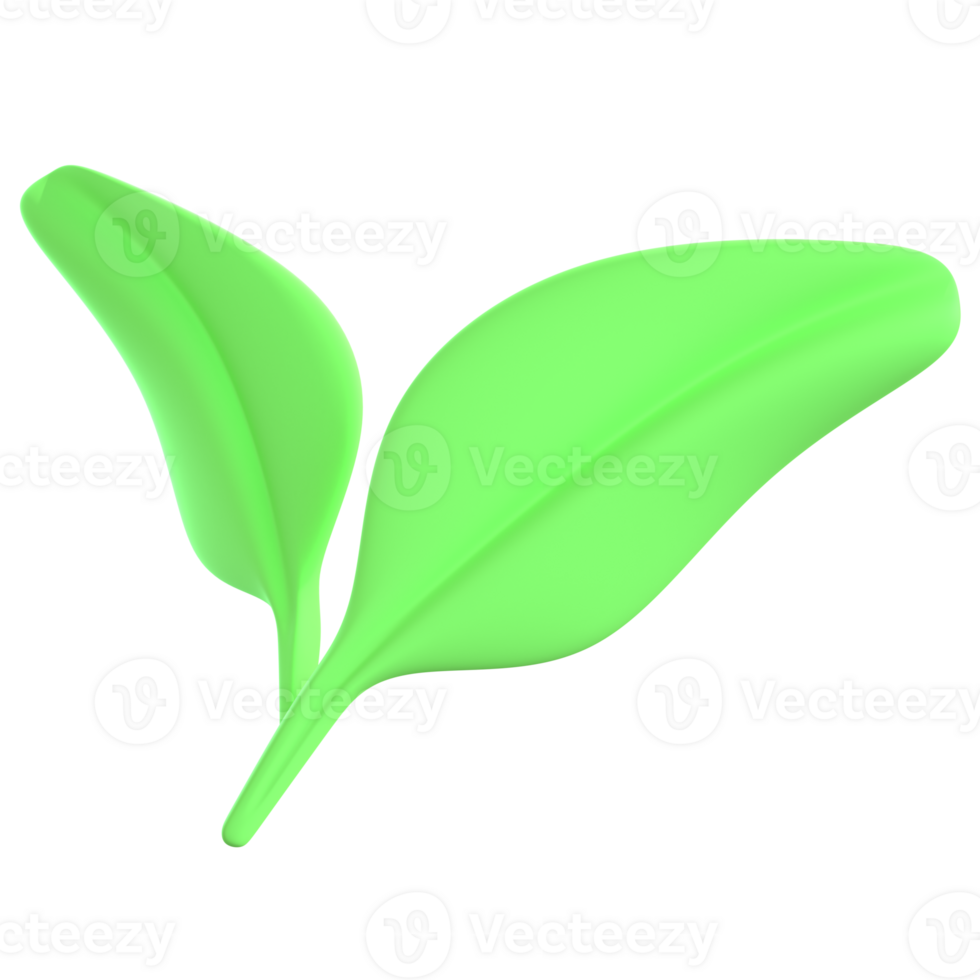 3D Illustration leaf png