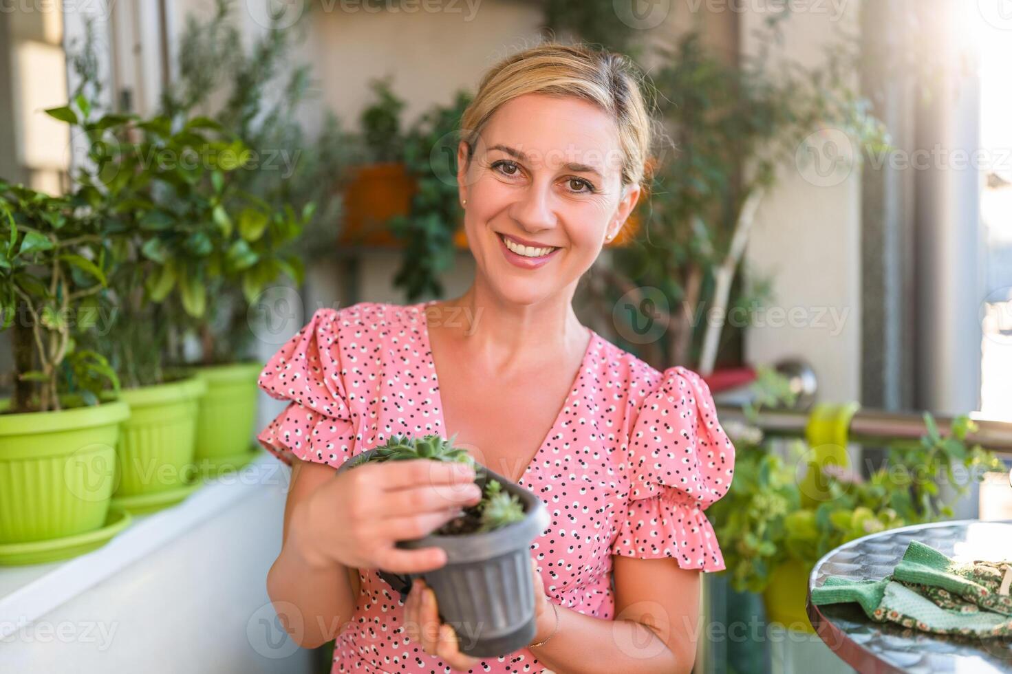 Happy woman gardening on balcony at home. She is showing growth of her houseleek plant photo