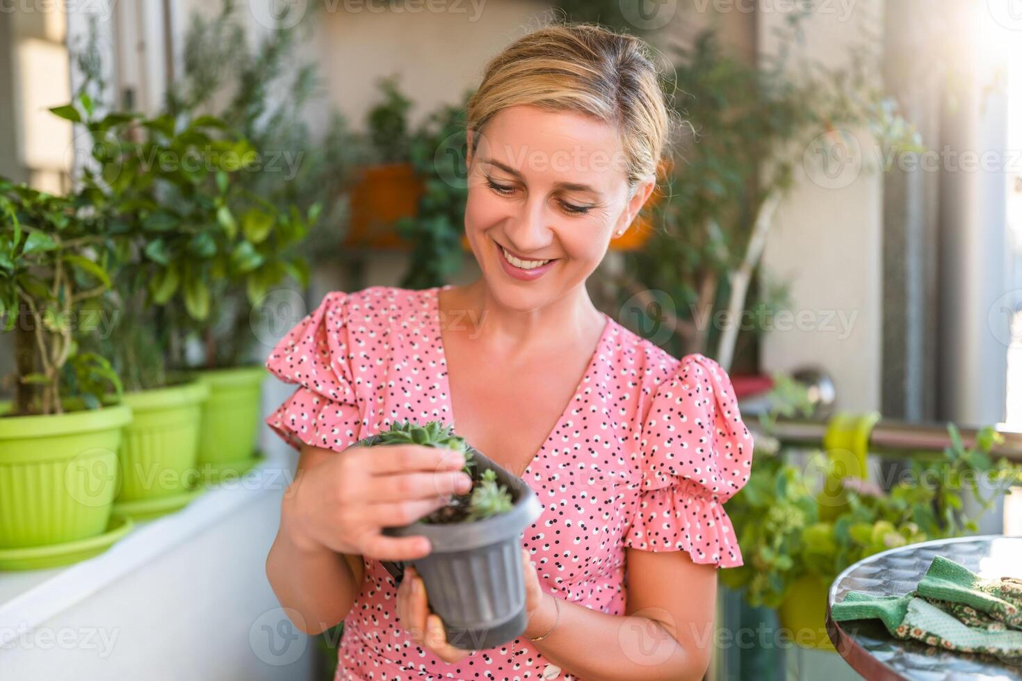 Happy woman gardening on balcony at home. She is showing growth of her houseleek plant photo