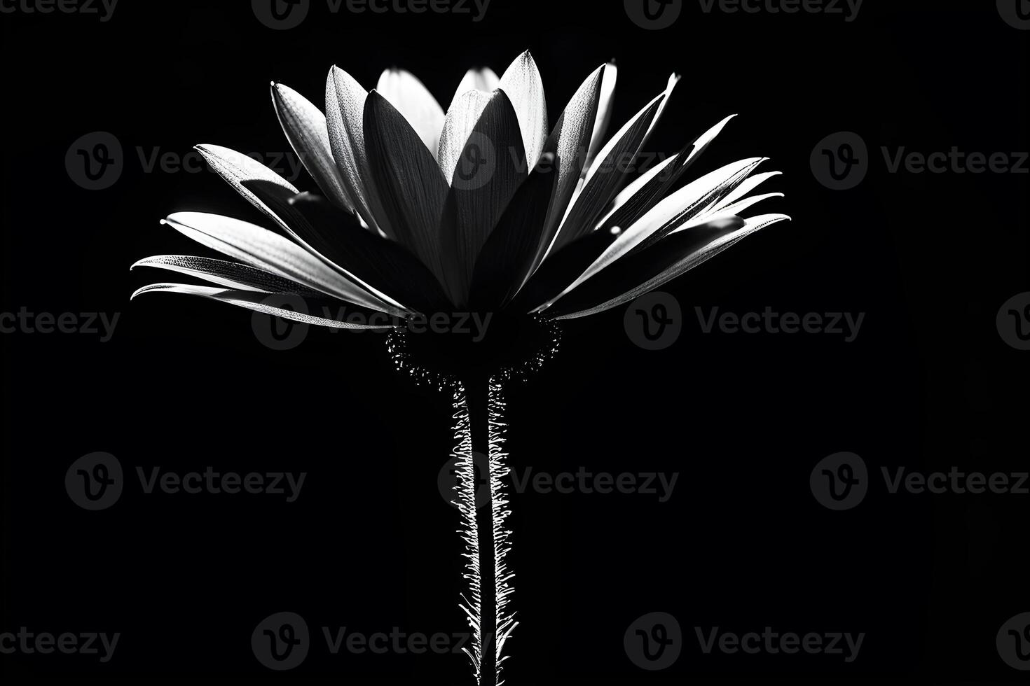 AI generated black flower on black background photo