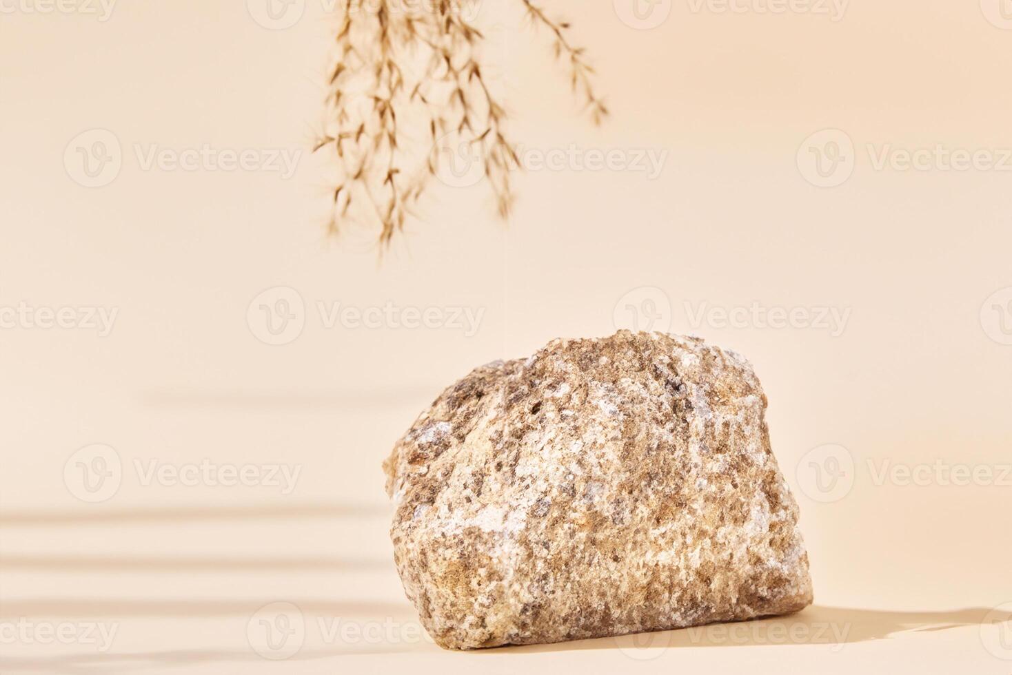 A beige backdrop with a natural stone podium and a dry plant branch provides a minimal copy space backdrop for a cosmetic product presentation. photo