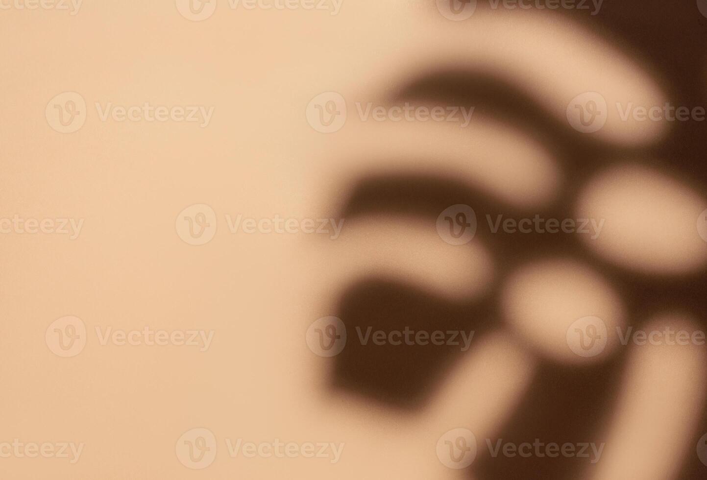 Shadows from monstera leaves photo