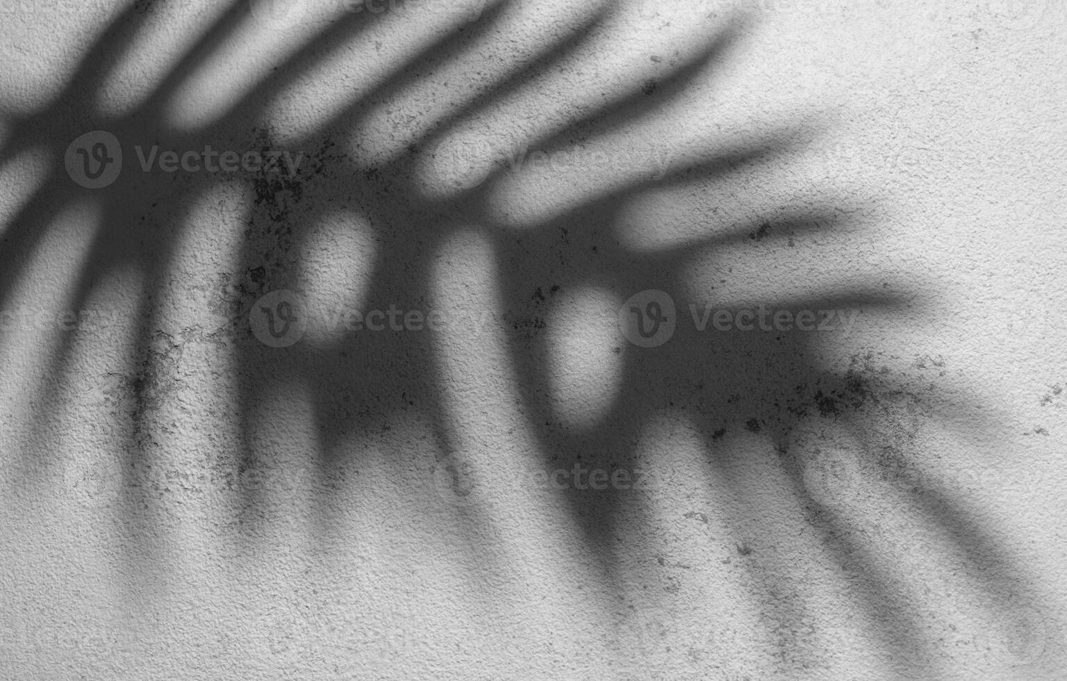 sombra de un helecho hoja emitir en un texturizado blanco pared durante luz foto