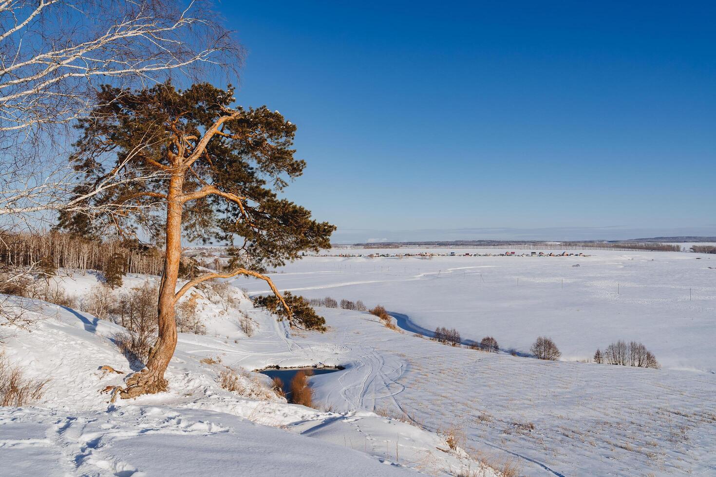 One pine tree grows on top of a mountain at the edge of a cliff. Winter landscape of Russia. The nature of the young Urals, the blue lake in winter, Bashkortostan, Ufa. photo