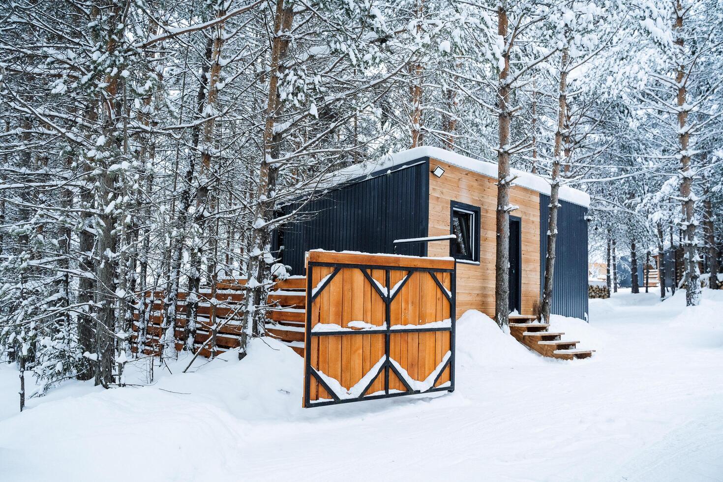 país casa hecho de madera en el bosque. visitando el cabaña en invierno. de madera barandillas, paredes y cerca. bosque paisaje en el nieve foto