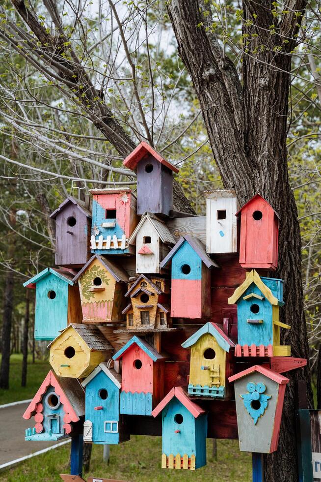 Colorful birdhouses hang on a tree, a group of bird's nests are made of boards, small houses for bird starlings, art art of a carpenter. photo