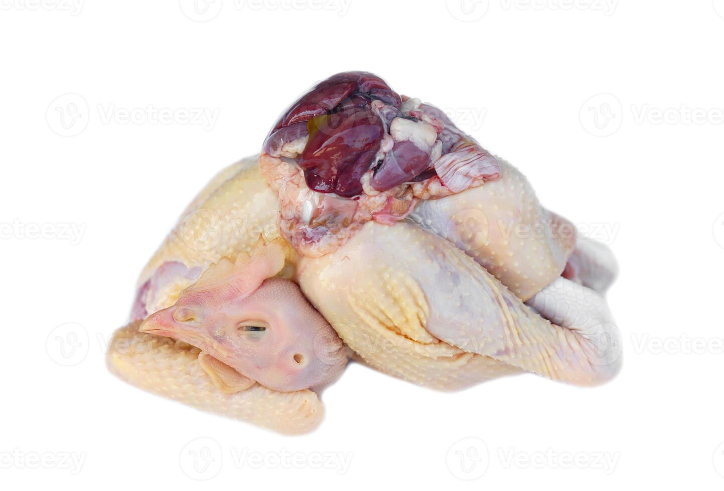 Fresh raw chicken and internal organ, prepared for cooking, isolated on white background. Concept, food ingredient, Thai chicken, can be cooked for various delicious menu. photo