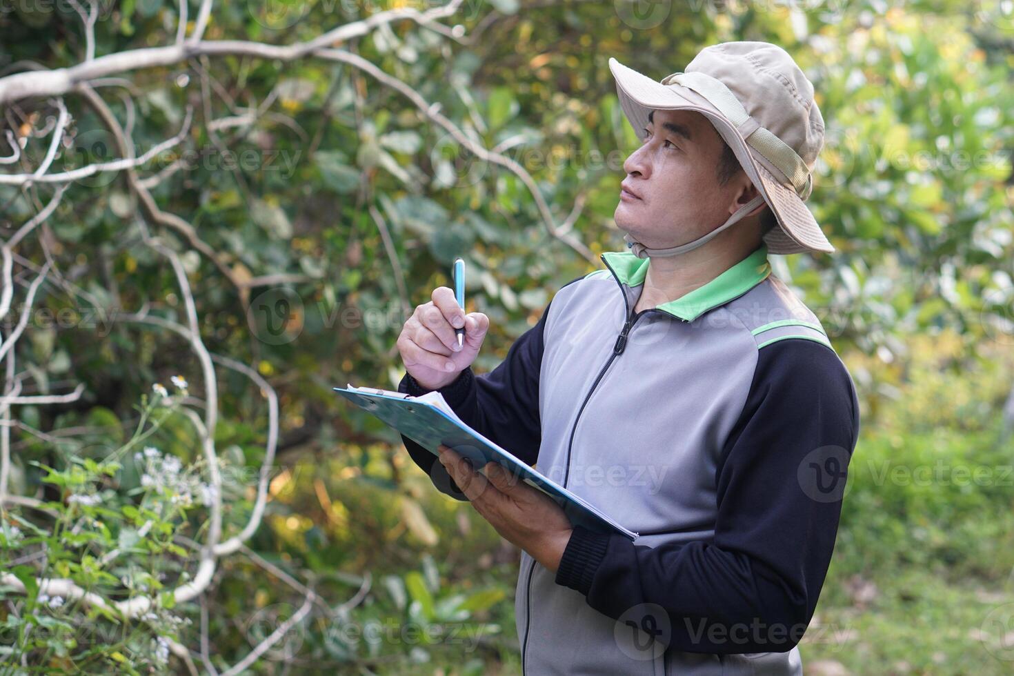 Asian man botanist is exploring bonanical plants in forest. holds paper clipboard and pen,  Concept,Survey ,research botanical plants. Forest and environment conservation. photo