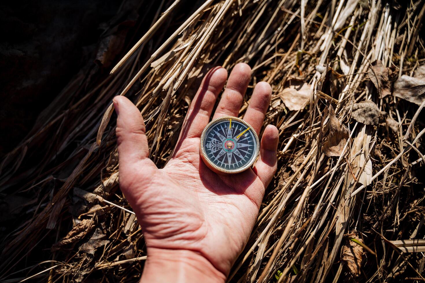 The compass lies on the open palm of the arrow points to the north, the cardinal points, the magnetic pole of the earth, retro style, the hand of man. photo