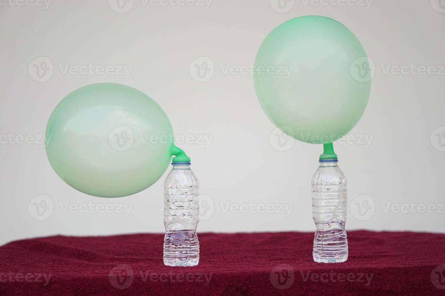 Inflated balloons on top of transparent test bottles. Concept, science experiment about reaction of chemical substance, vinegar and baking soda that cause balloon inflat. Last step of experiment photo