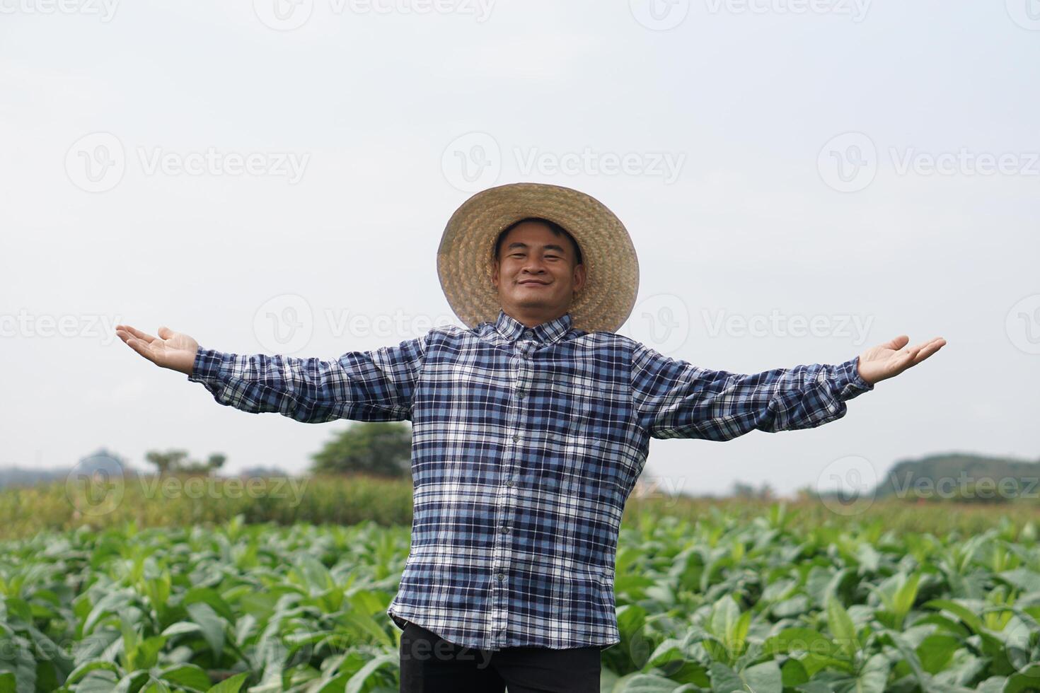 Handsome Asian man farmer is at garden, wears hat, plaid shirt, raise wide open arms. Concept, agriculture occupation. Happy Thai farmer. Copy space for adding text, ads. photo