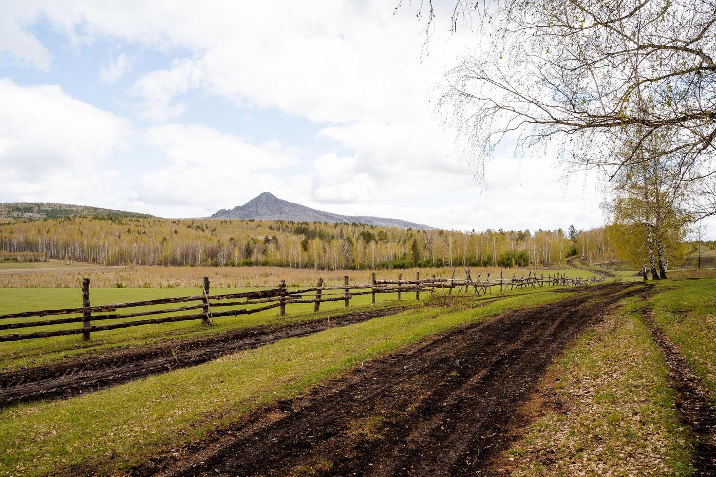 Countryside mountainous landscape, autumn season, dry leaves lie on the ground, black road stretches upwards, fenced pasture, wooden ranch fence photo