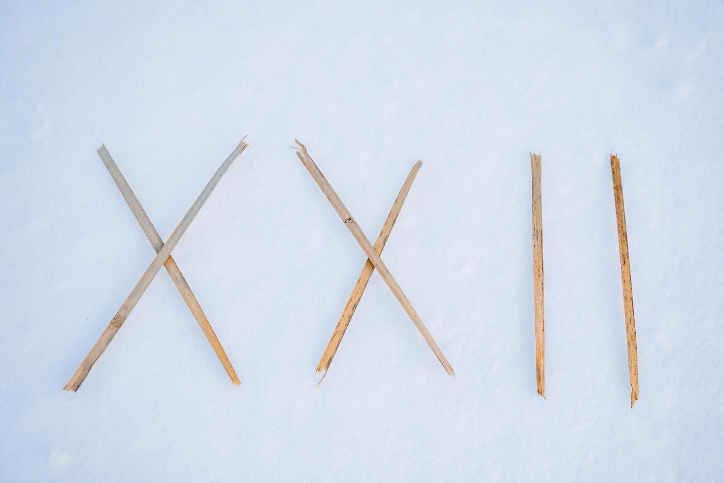 Inscription in Roman numerals in the snow. 2022, dry grass in the form of numbers. The number of the year. Abstraction. photo