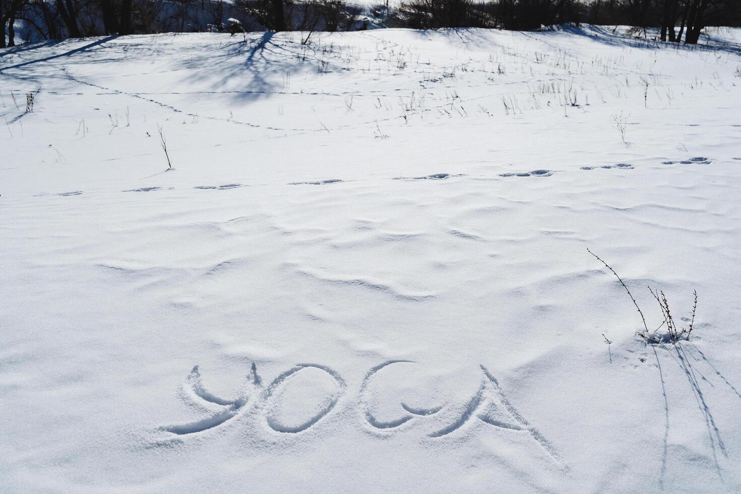 yoga letras son escrito en el nieve en invierno en el frío estación. silencio en el texto de yóguico símbolos, un soleado día. foto