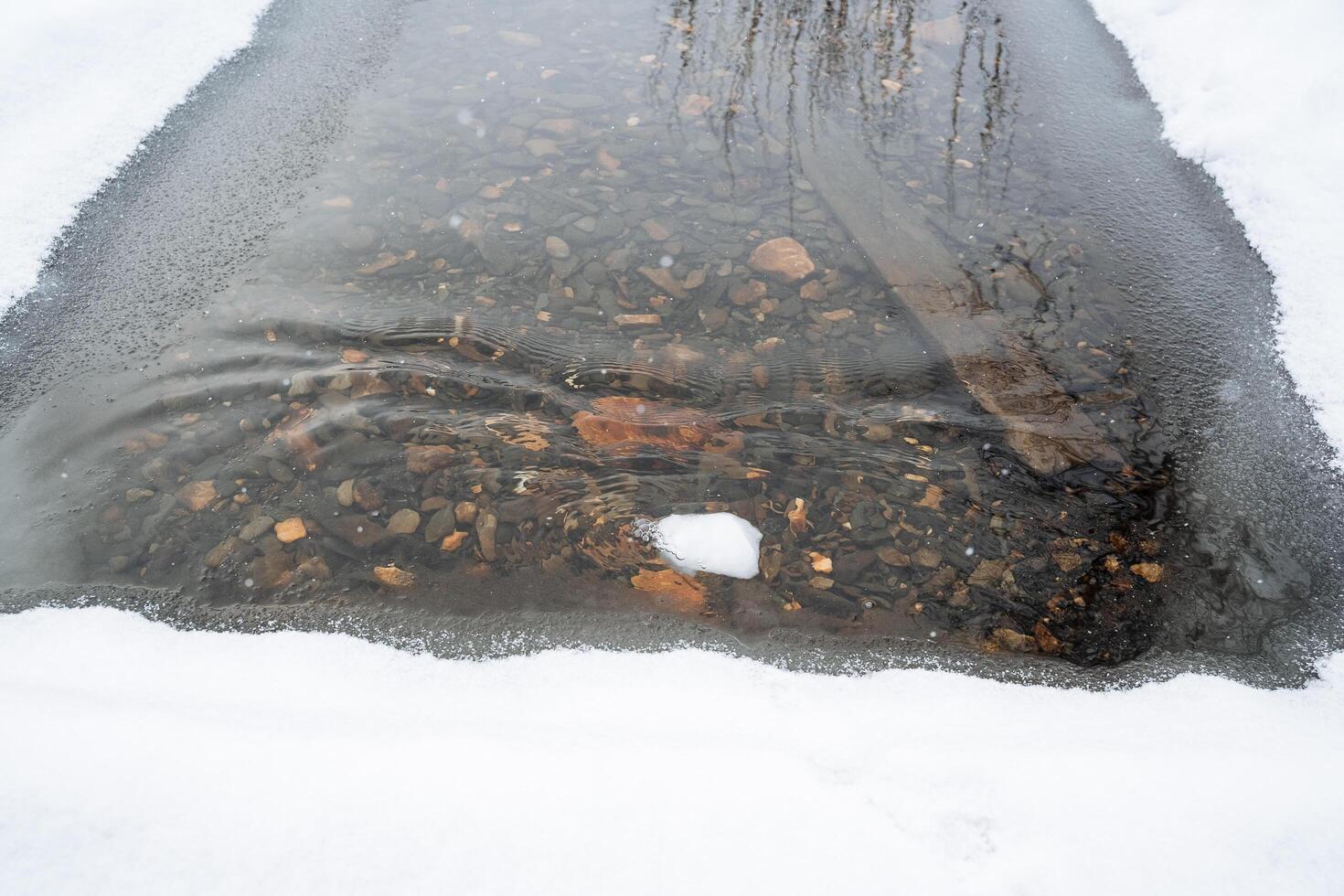 Polynya on the river. Clear and unfrozen water in the river. The water is so clear that you can see the bottom. Winter walks by the riverbank photo