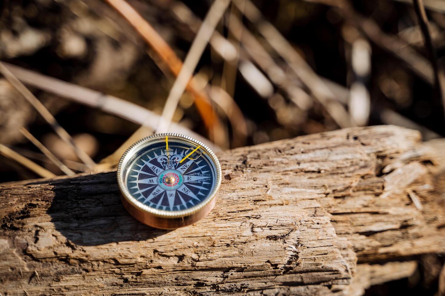 Vintage retro compass lies on a log, the sun shines on the object, arrow to the north, orientation in the forest. photo