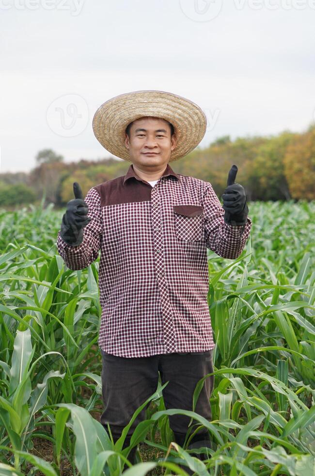 Handsome Asian man farmer is in garden, wears hat, brown plaid shirt, thumbs up. Concept, Agriculture occupation. Thai farmer lifestyle, Feeling proud and satisfied in crop production photo