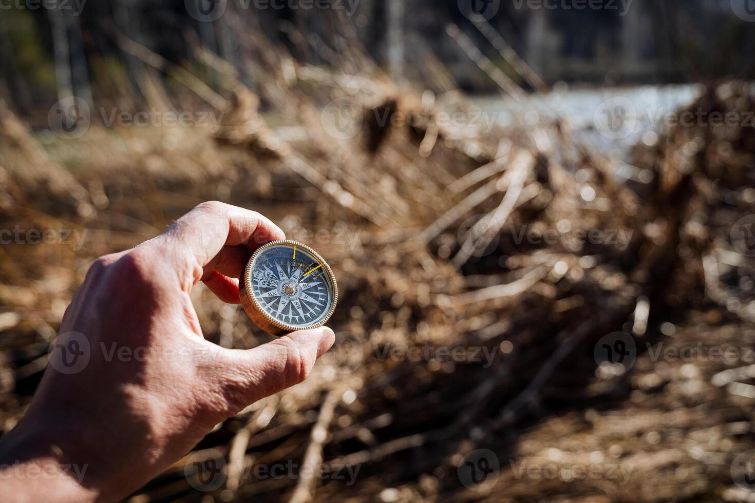 A man's hand holds a compass, an orientation in the forest, a retro object, a vintage compass, a north arrow, the concept of choosing the direction of movement. photo