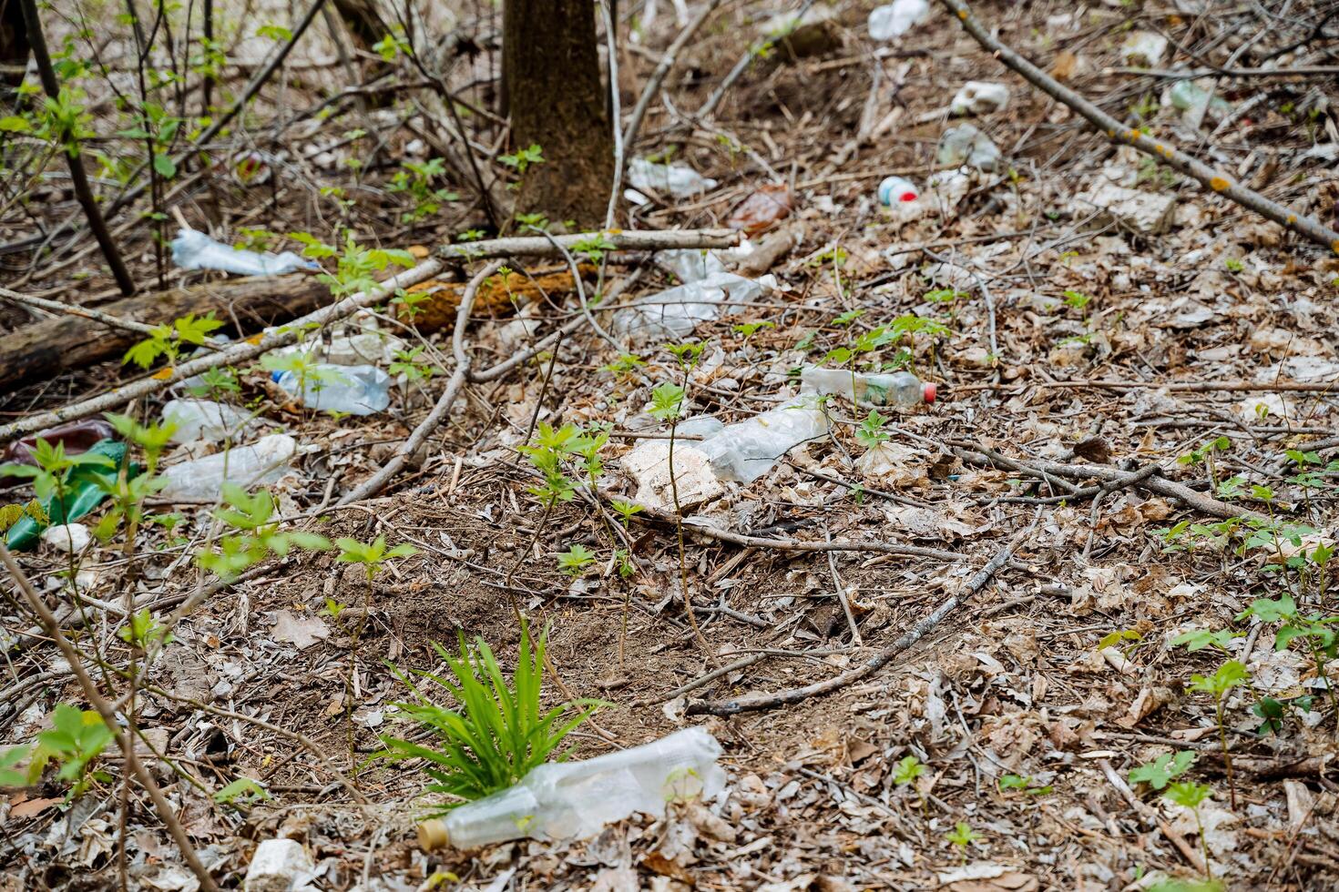 Plastic garbage is lying in the urban forest polluting the environment, human waste on the ground, the death of nature, bottles are lying in the soil. photo