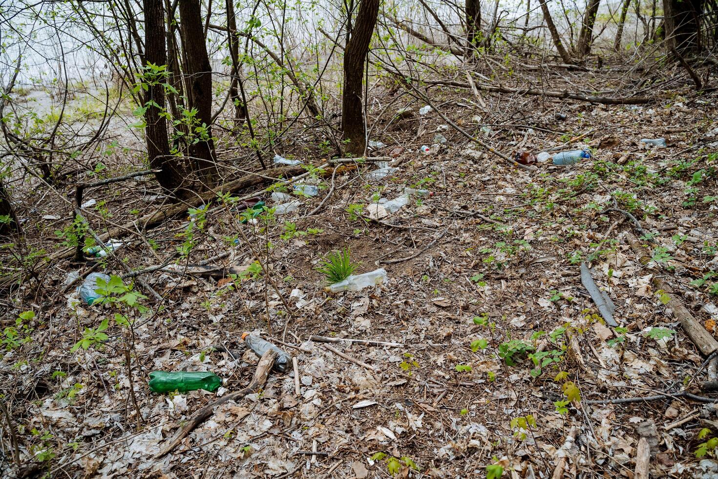 Garbage is an environmental disaster pollution, plastic bottles lie in the forest poisoning the earth, human waste on the river bank. photo