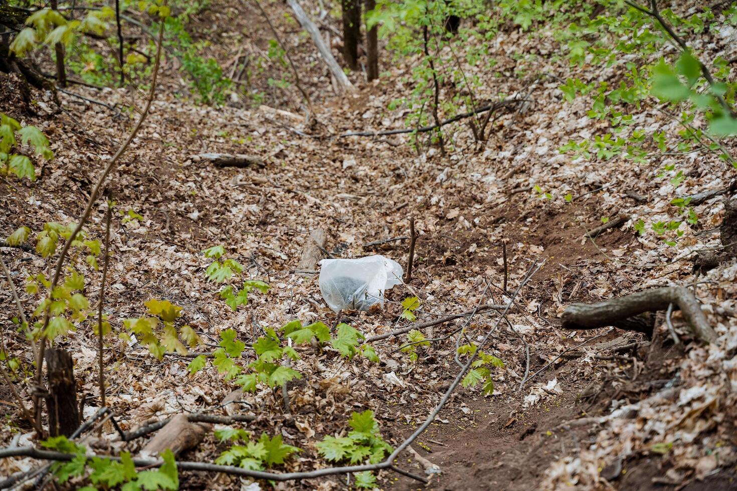 A plastic bag with garbage was thrown into the forest, a bag of waste lies on the ground, pollution of the city park, deliberate destruction of nature, photo