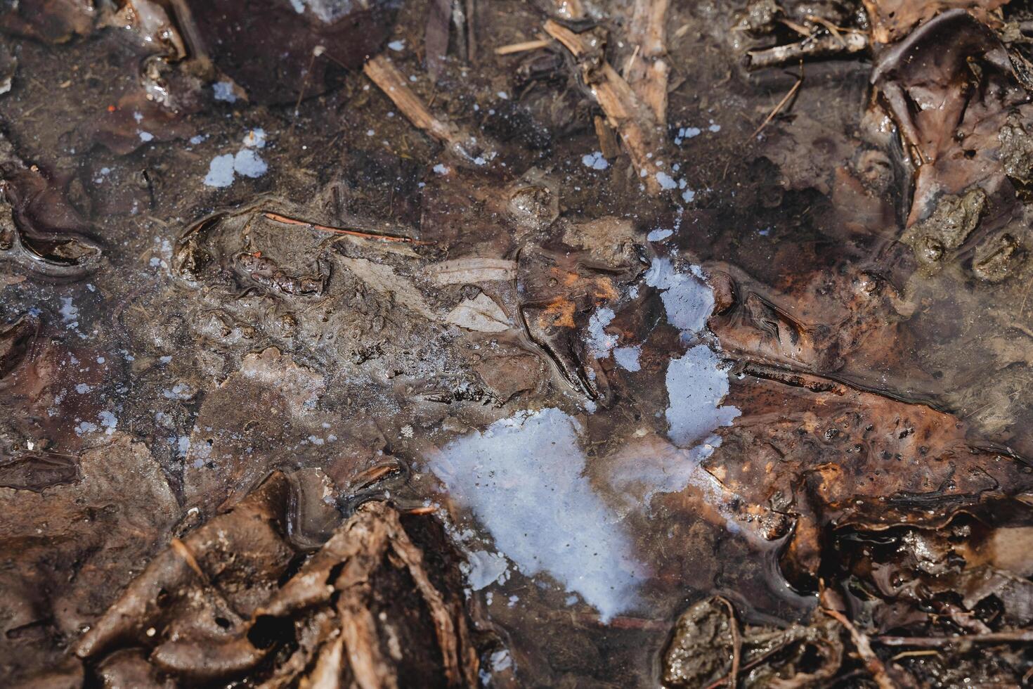 petróleo derrames en el agua, suelo contaminación con planta desperdiciar, ambiental desastre, un película de combustible petróleo cubre el suelo. foto