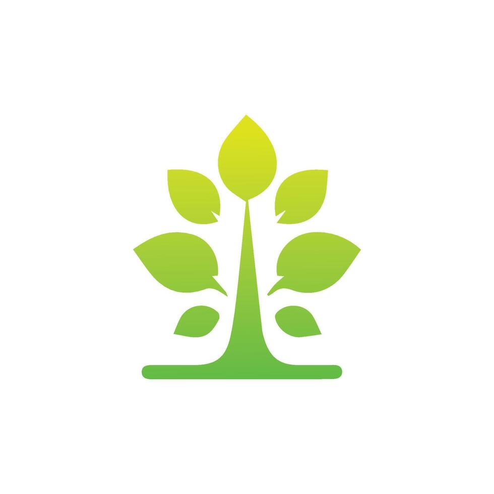 Tree icon concept of a stylized tree with leaves,  vector illustration
